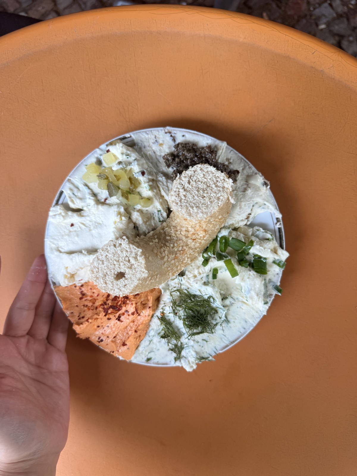 Hausgemachte Frischkäse Sorten mit Sesambagel